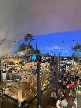 福井県立恐竜博物館に投稿された画像（2025/11/25）