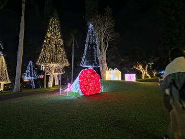 美らヤシパークオキナワ・東南植物楽園に投稿された画像（2025/11/25）