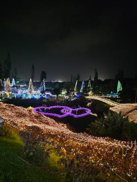 美らヤシパークオキナワ・東南植物楽園に投稿された画像（2025/11/25）