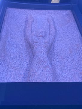 ACN ラムセス大王展 ファラオたちの黄金に投稿された画像（2025/11/25）