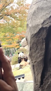 恩賜上野動物園に投稿された画像（2025/11/25）