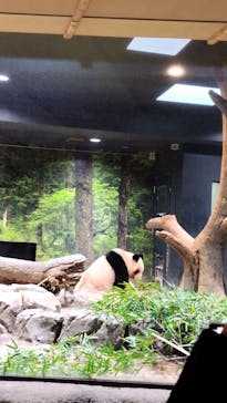 恩賜上野動物園に投稿された画像（2025/11/25）