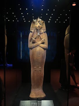 ACN ラムセス大王展 ファラオたちの黄金に投稿された画像（2025/11/25）