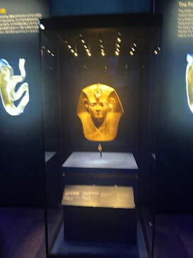 ACN ラムセス大王展 ファラオたちの黄金に投稿された画像（2025/11/25）