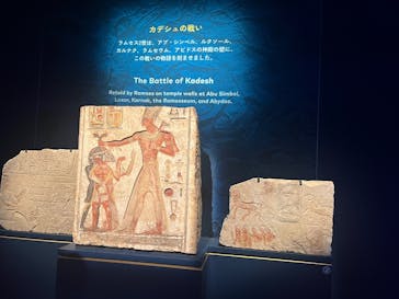 ACN ラムセス大王展 ファラオたちの黄金に投稿された画像（2025/11/25）