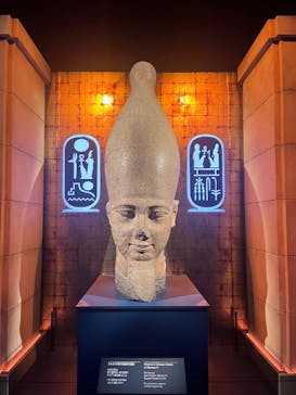 ACN ラムセス大王展 ファラオたちの黄金に投稿された画像（2025/11/25）