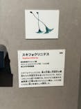 印象派オルセー展×大絶滅展に投稿された画像（2025/11/25）