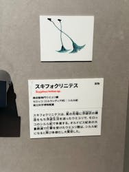 印象派オルセー展×大絶滅展に投稿された画像（2025/11/25）