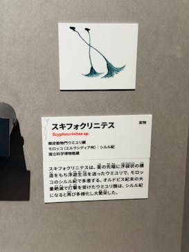 印象派オルセー展×大絶滅展に投稿された画像（2025/11/25）