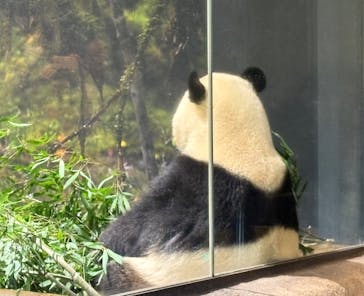 恩賜上野動物園に投稿された画像（2025/11/25）