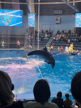 マクセル アクアパーク品川に投稿された画像（2025/11/25）