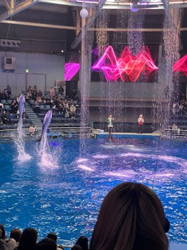 マクセル アクアパーク品川に投稿された画像（2025/11/25）