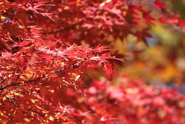 名古屋市東山動植物園に投稿された画像（2025/11/25）