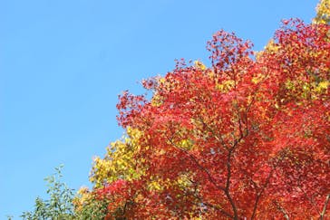 名古屋市東山動植物園に投稿された画像（2025/11/25）