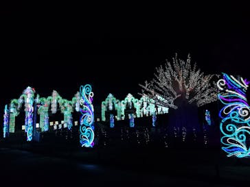 ラグーナテンボス ラグナシアに投稿された画像（2025/11/25）