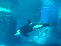 名古屋港水族館に投稿された画像（2025/11/25）