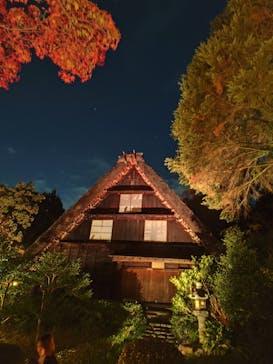 名古屋市東山動植物園に投稿された画像（2025/11/25）