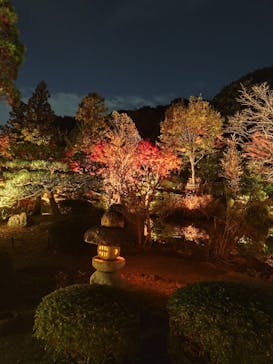 名古屋市東山動植物園に投稿された画像（2025/11/25）