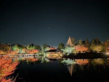 国営昭和記念公園 秋の夜散歩に投稿された画像（2025/11/25）