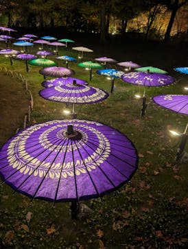 国営昭和記念公園 秋の夜散歩に投稿された画像（2025/11/25）