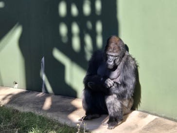 名古屋市東山動植物園に投稿された画像（2025/11/25）
