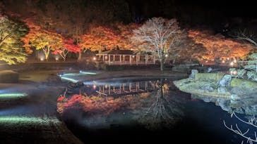 修善寺虹の郷に投稿された画像（2025/11/25）