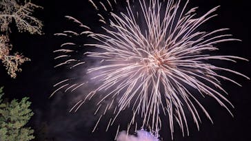 修善寺虹の郷に投稿された画像（2025/11/25）