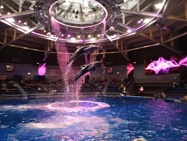 マクセル アクアパーク品川に投稿された画像（2025/11/25）