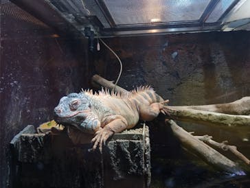 マクセル アクアパーク品川に投稿された画像（2025/11/25）