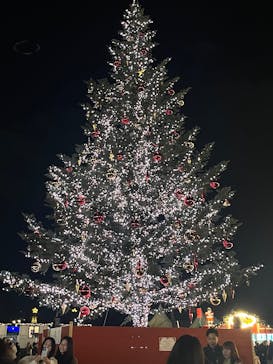 Christmas Market in 横浜赤レンガ倉庫 2025に投稿された画像（2025/11/26）