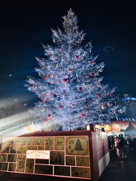 Christmas Market in 横浜赤レンガ倉庫 2025に投稿された画像（2025/11/26）