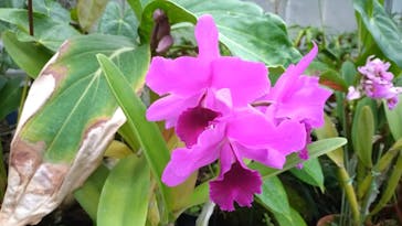 熱川バナナワニ園に投稿された画像（2025/11/26）