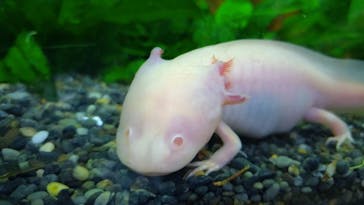 熱川バナナワニ園に投稿された画像（2025/11/26）