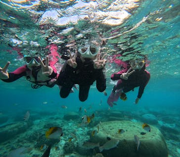 沖縄マリンサービス碧に投稿された画像（2025/11/26）