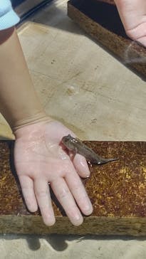 ゼロ距離水族館 伊勢シーパラダイスに投稿された画像（2025/11/26）