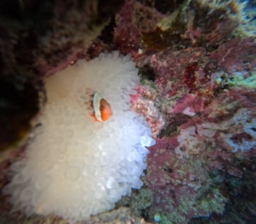 武藤潜水に投稿された画像（2025/11/26）