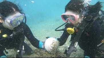 武藤潜水に投稿された画像（2025/11/26）