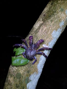 宮古島マリンショップSmileyに投稿された画像（2025/11/26）