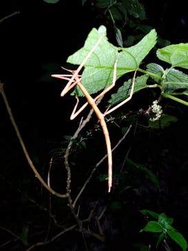 宮古島マリンショップSmileyに投稿された画像（2025/11/26）