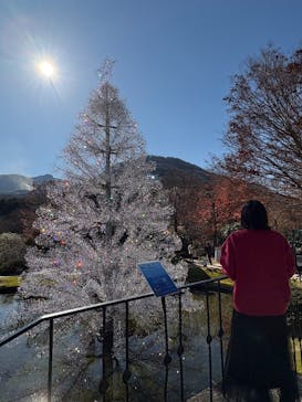 箱根ガラスの森美術館に投稿された画像（2025/11/26）