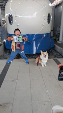 京都鉄道博物館に投稿された画像（2025/11/26）