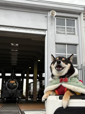 京都鉄道博物館に投稿された画像（2025/11/26）