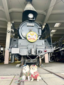 京都鉄道博物館に投稿された画像（2025/11/26）