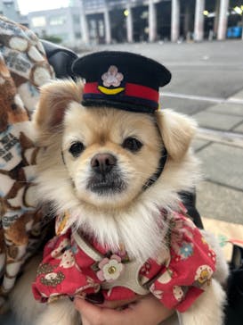 京都鉄道博物館に投稿された画像（2025/11/26）