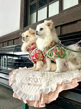 京都鉄道博物館に投稿された画像（2025/11/26）