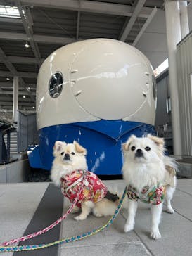 京都鉄道博物館に投稿された画像（2025/11/26）