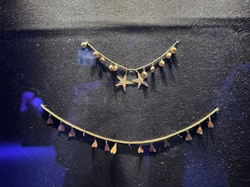 ACN ラムセス大王展 ファラオたちの黄金に投稿された画像（2025/11/26）