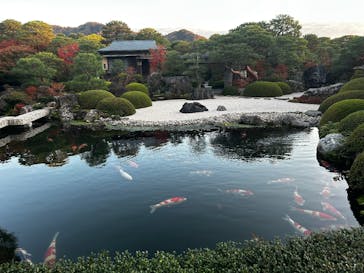 足立美術館に投稿された画像（2025/11/26）