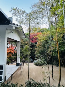 足立美術館に投稿された画像（2025/11/26）