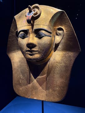ACN ラムセス大王展 ファラオたちの黄金に投稿された画像（2025/11/26）